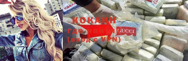 прущая мука Арсеньев