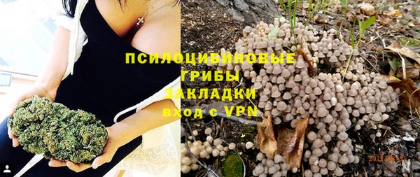 ПСИЛОЦИБИНОВЫЕ ГРИБЫ Аркадак