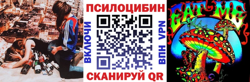 Купить где Беломорск Псилоцибиновые грибы Cubensis